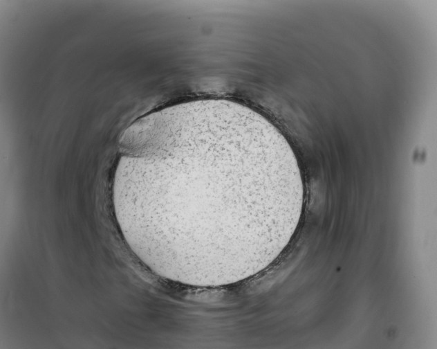 X0000100371201200807031854