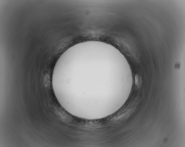 X0000100371203200807031854