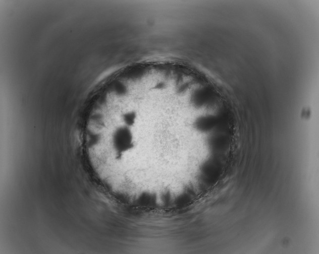 X0000100371206200807031854