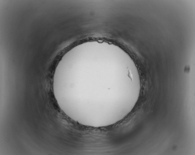 X0000100371207200807031854