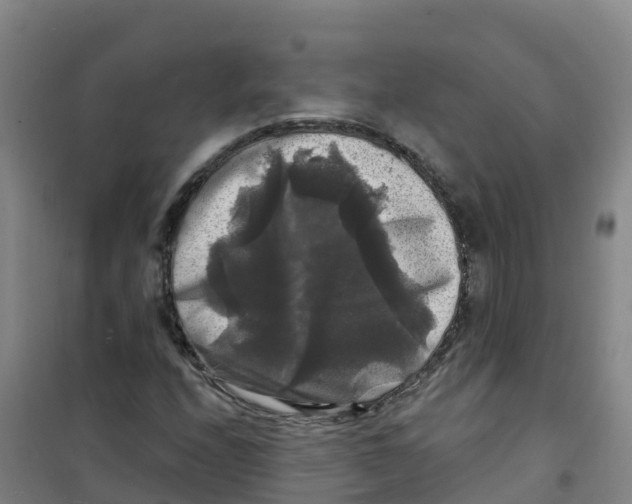 X0000100371208200807031854