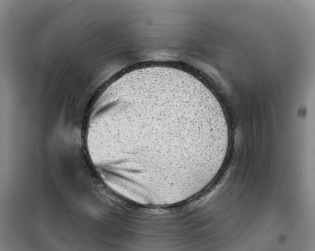 X0000100371209200807031854