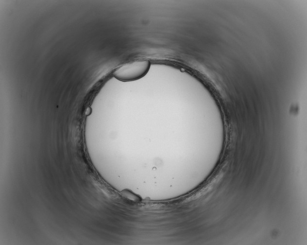 X0000100371211200807031854