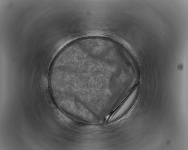 X0000100371212200807031854