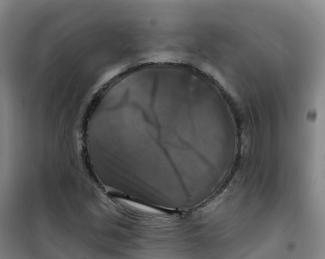 X0000100371213200807031854