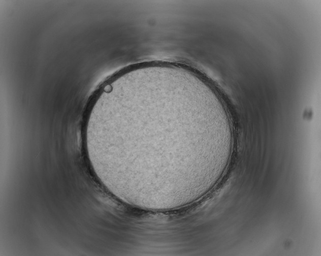 X0000100371214200807031854