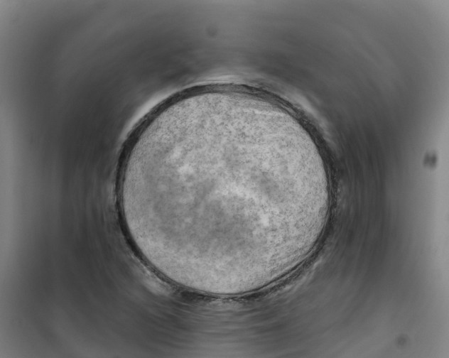 X0000100371216200807031854