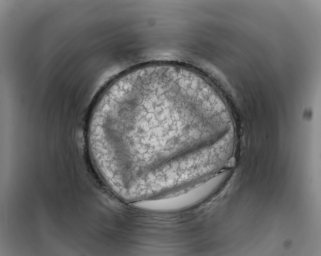 X0000100371218200807031854