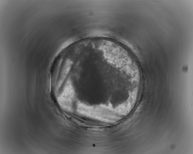 X0000100371219200807031854