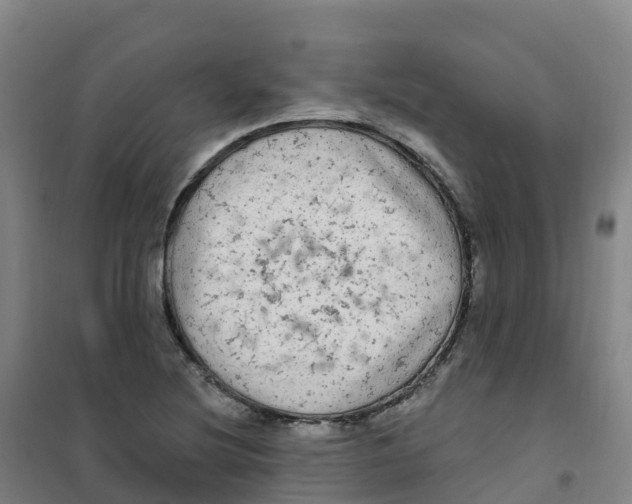 X0000100371220200807031854