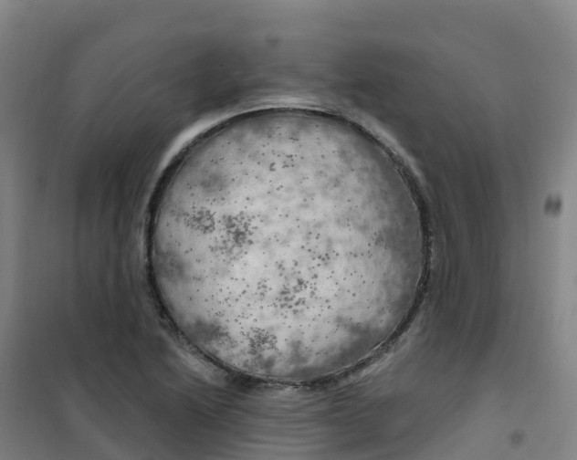 X0000100371222200807031854