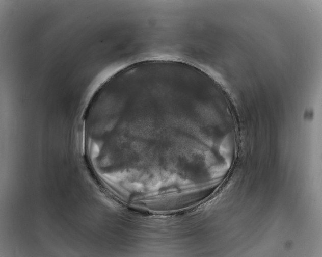 X0000100371223200807031854