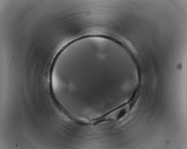 X0000100371226200807031854