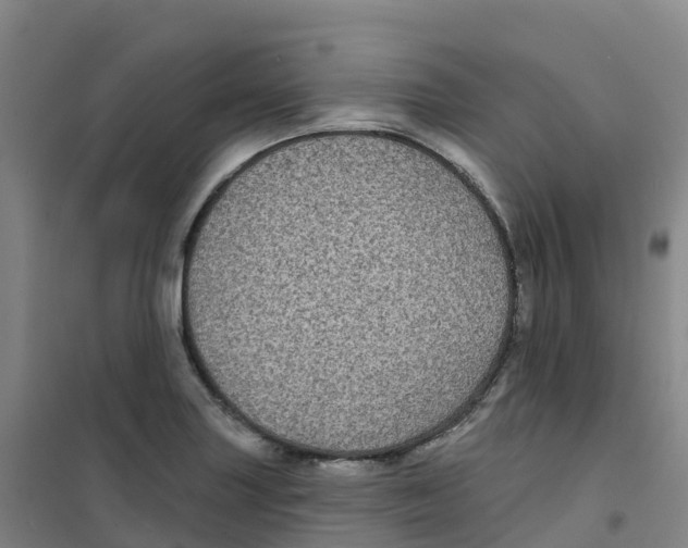 X0000100371227200807031854