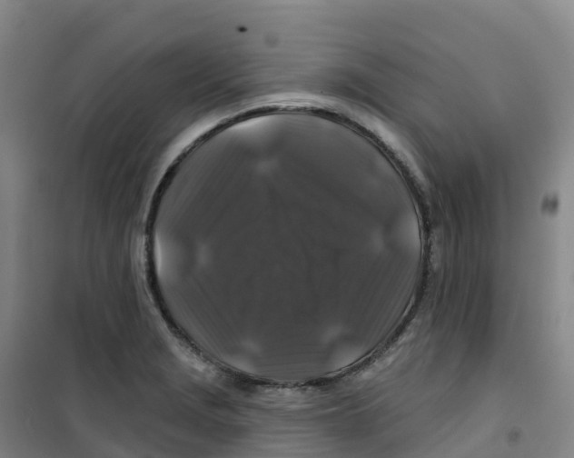 X0000100371229200807031854