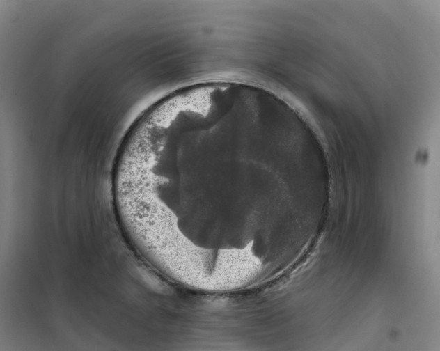 X0000100371230200807031854