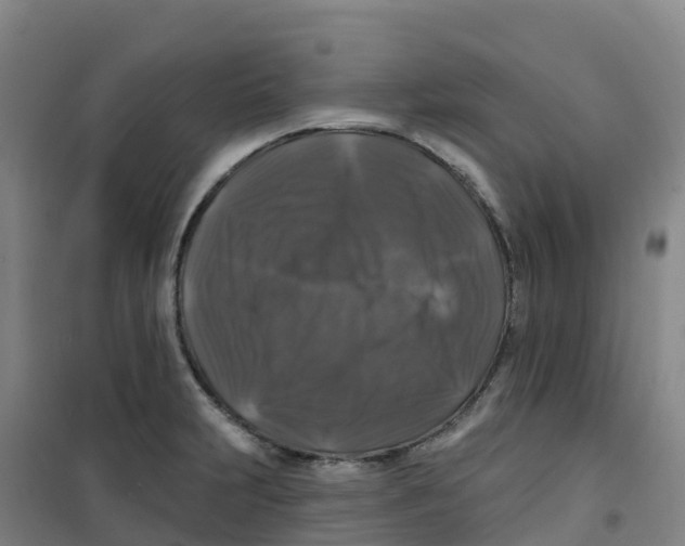 X0000100371231200807031854