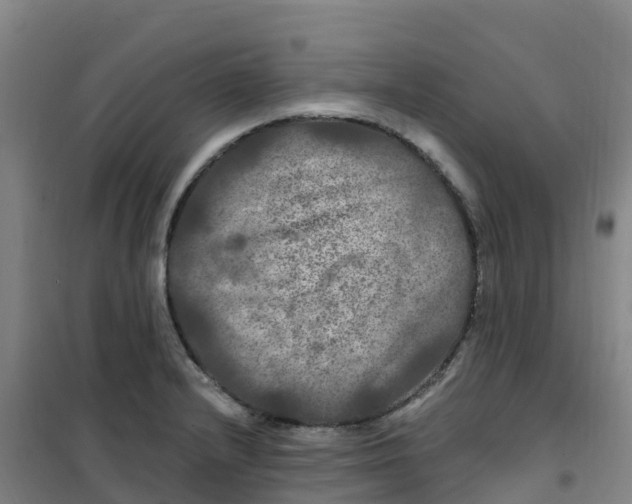 X0000100371232200807031854