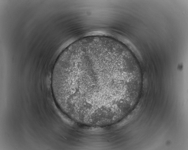 X0000100371233200807031854