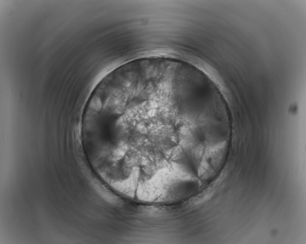 X0000100371234200807031854