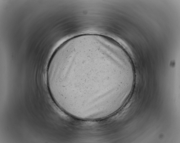 X0000100371238200807031854