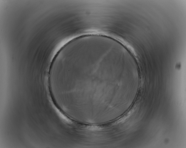 X0000100371239200807031854