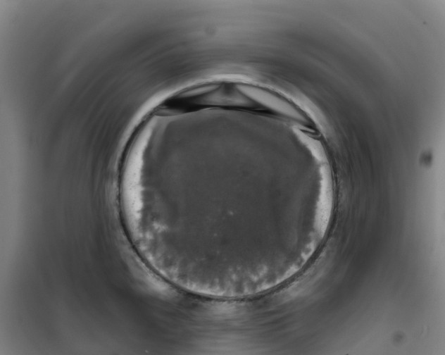 X0000100371240200807031855