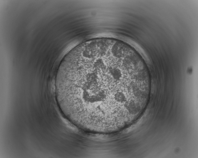 X0000100371241200807031855