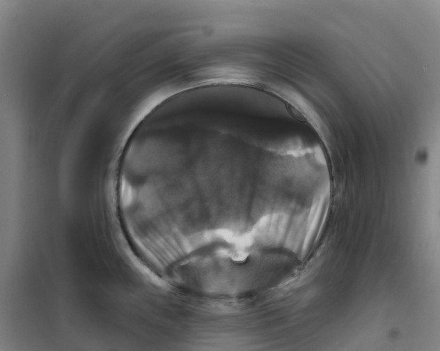 X0000100371243200807031855