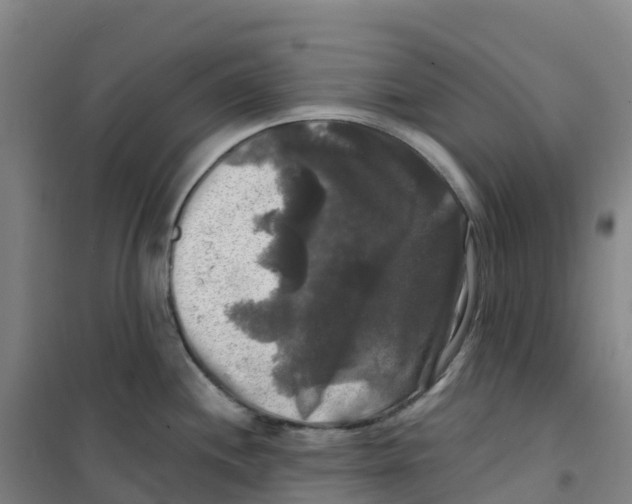 X0000100371244200807031855