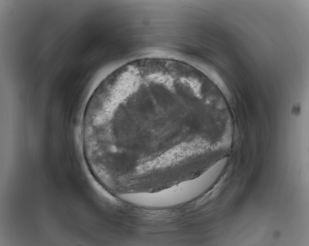 X0000100371247200807031855