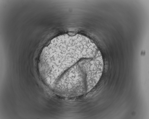 X0000100371249200807031854