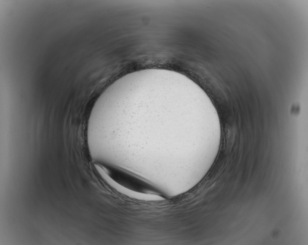 X0000100371250200807031854