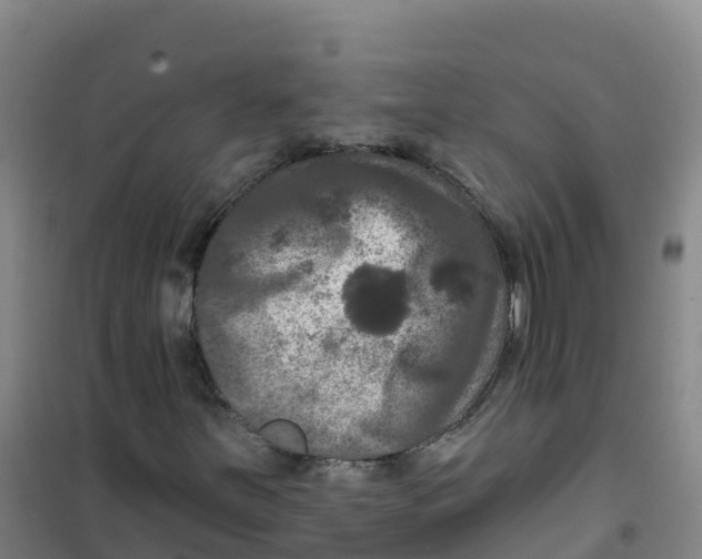 X0000100371251200807031854