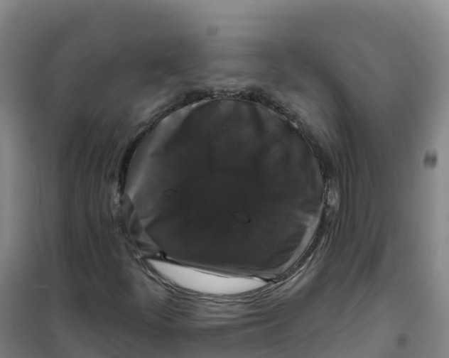 X0000100371252200807031854