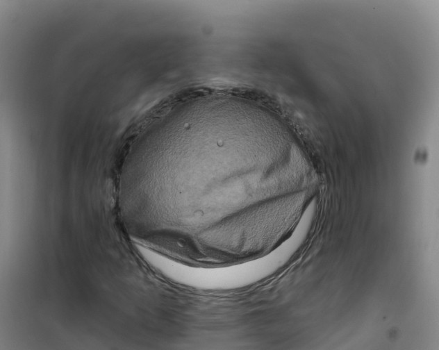 X0000100371253200807031854