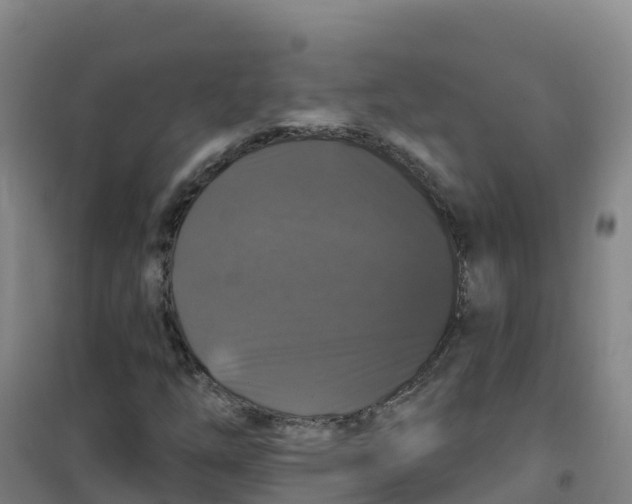 X0000100371254200807031854