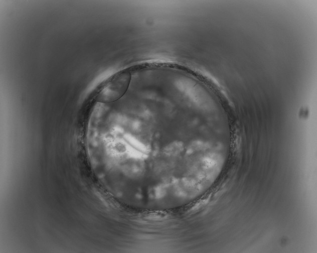 X0000100371255200807031854