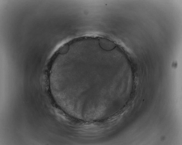 X0000100371256200807031854