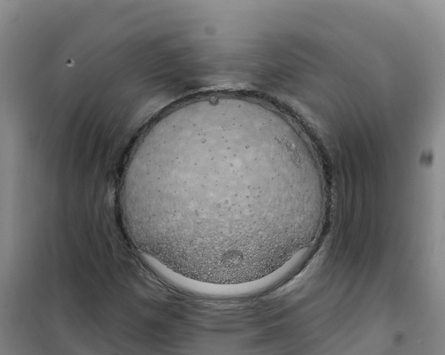 X0000100371257200807031854