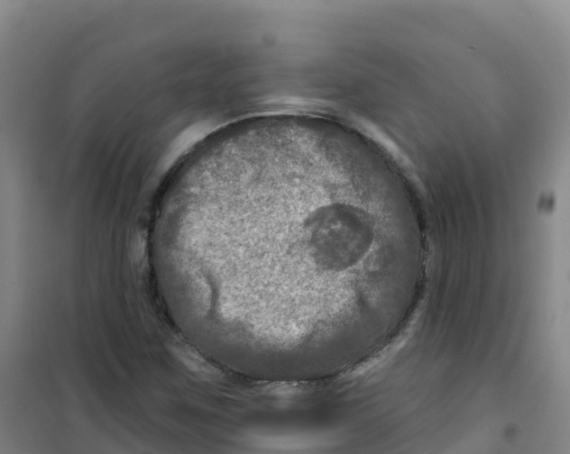 X0000100371259200807031854