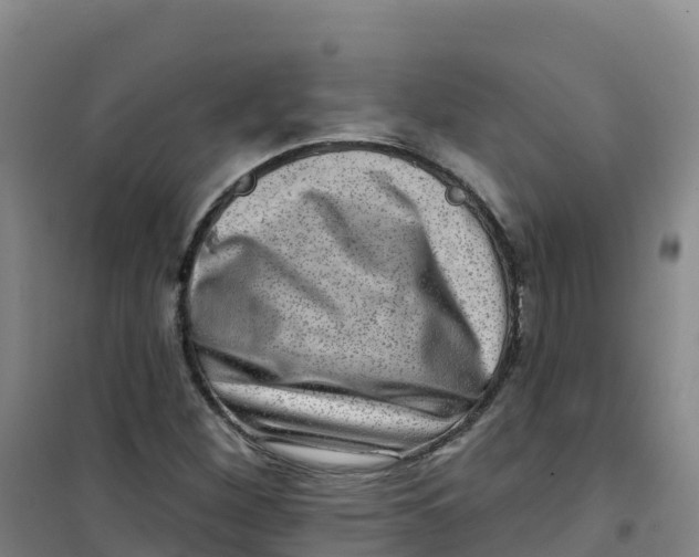 X0000100371260200807031854