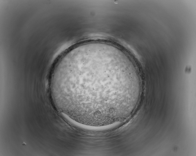 X0000100371261200807031854