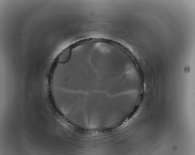 X0000100371263200807031854