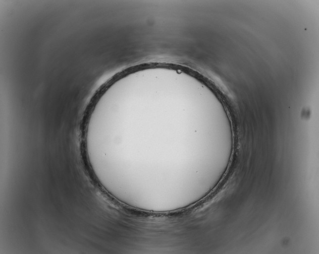 X0000100371264200807031854