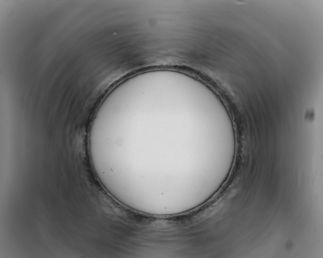 X0000100371265200807031854