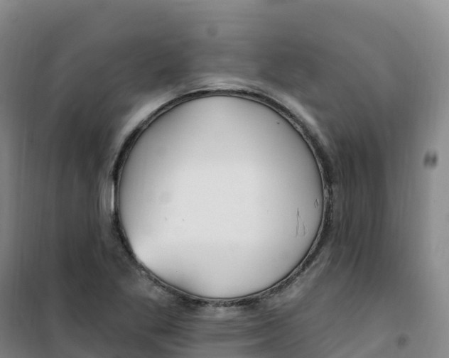 X0000100371269200807031854