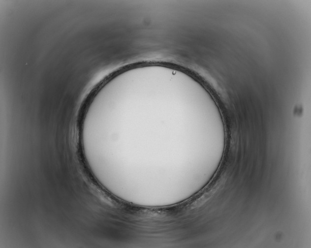 X0000100371270200807031854