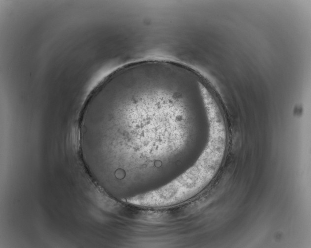 X0000100371271200807031854