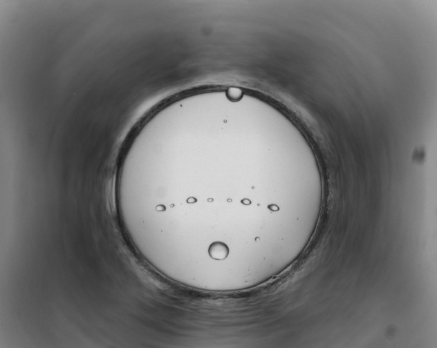 X0000100371272200807031854